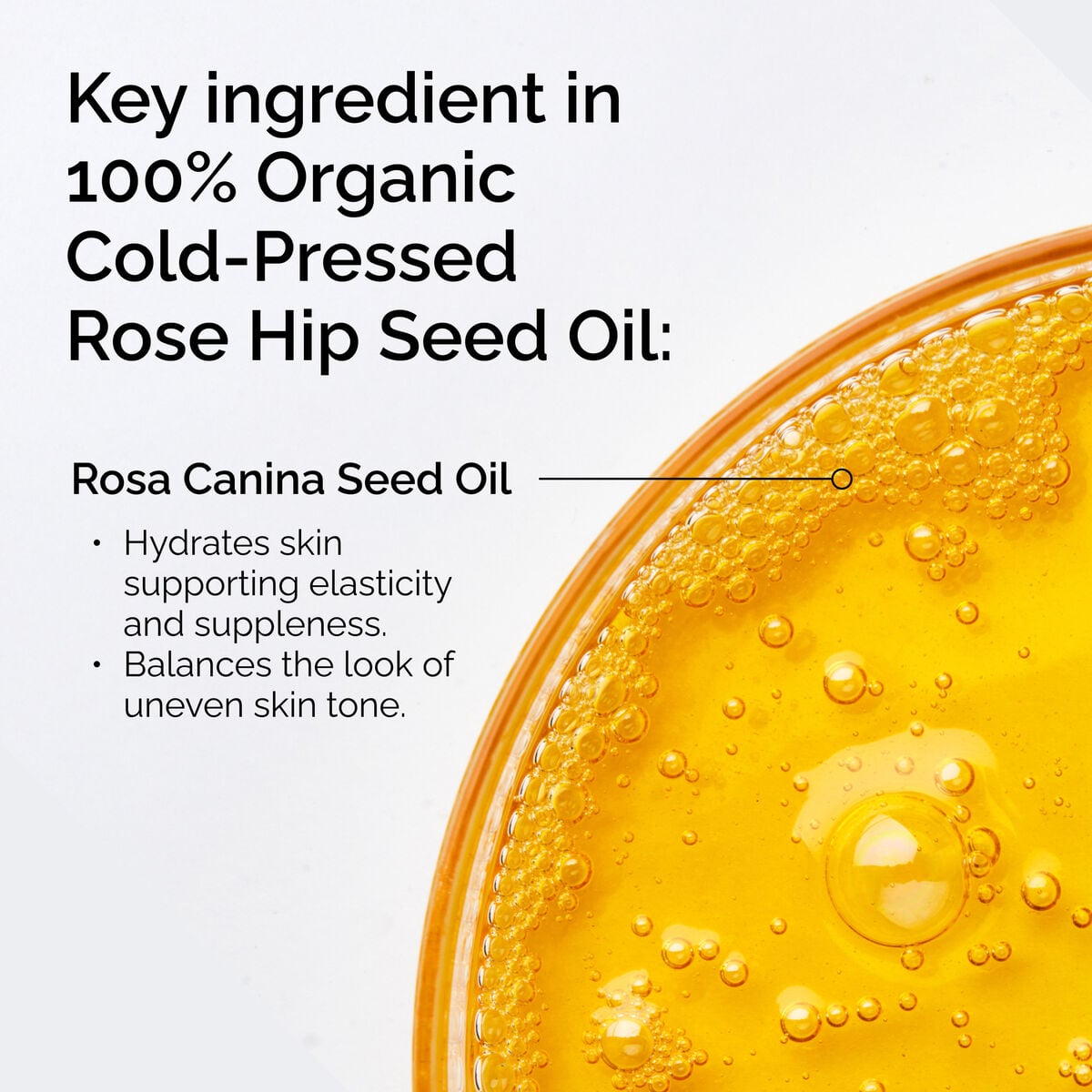 100-organic-cold-pressed-rose-hip-seed-oil-a1 FY25-D41247-ORD-Web-PDP-100-Rose-Hip-Oil-1x1-EN-2.jpg