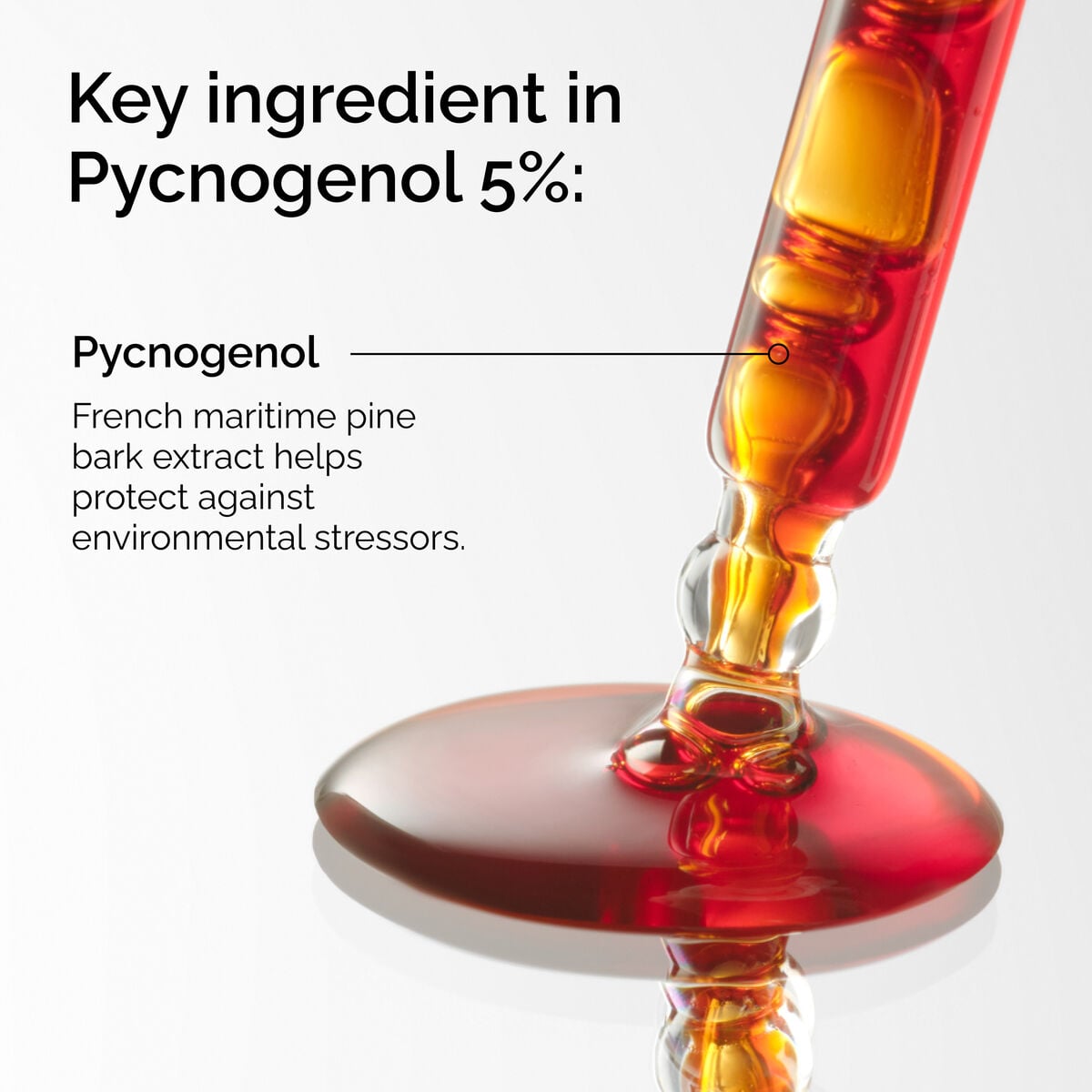 pycnogenol-5-w9 FY25-D41247-ORD-Web-PDP-Pyc-5pct-1x1-EN-2a.jpg