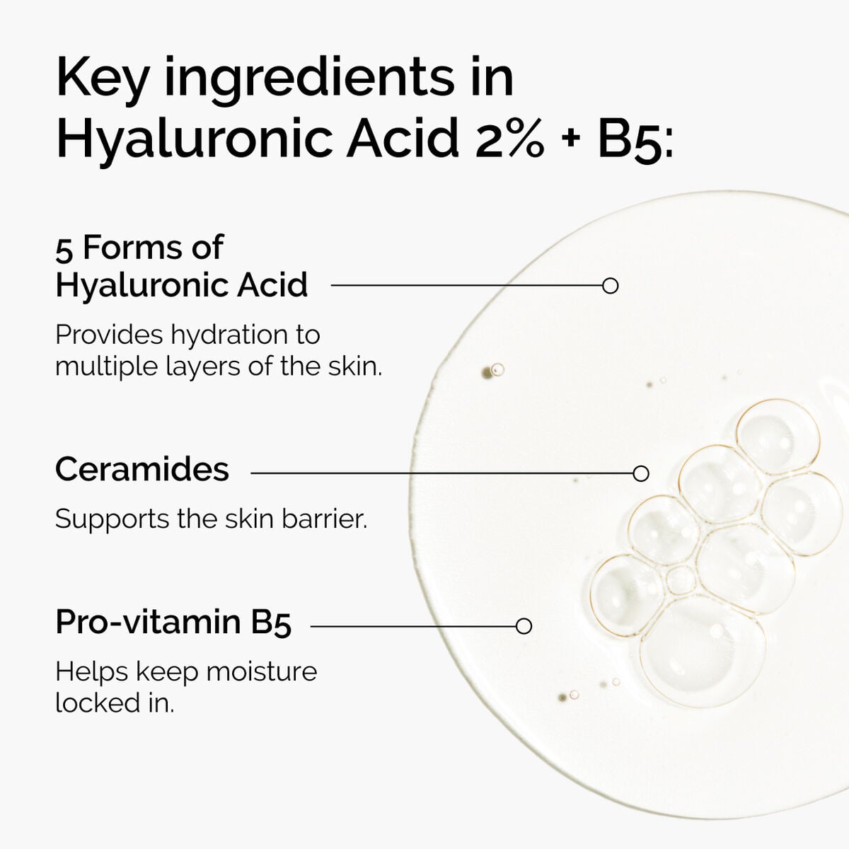 hyaluronic-acid-2-b5-with-ceramides-k4 ord-hyaluronic-acid-2pct-b5-hydrating-serum-ingredients-graphic.jpg